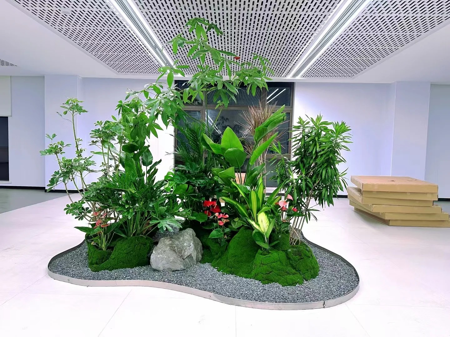 了解奉化植物租赁价格，开启绿色生活！